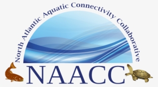 North Atlantic Aquatic Connectivity Collaborative - Hermit Crab #9144285