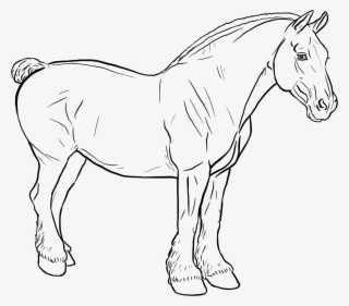 Bunny - Mane #9145885