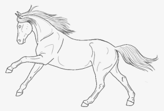 Gaited Horse Lineart - Line Art Horse Png #9145920