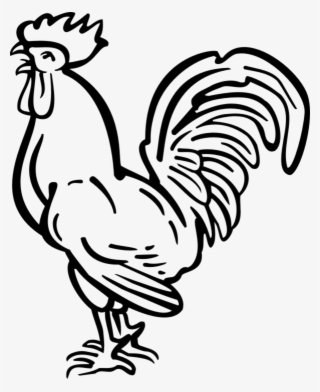 Tattoo Chicken Haan Rooster Download Hq Png - Rooster Line Drawing #9146193