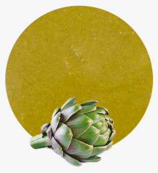 Artichoke Puree - Artichoke #9146960