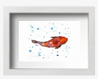 Acuarela Pez Carpa Con Marco - Sockeye Salmon #9147472