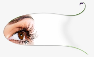 Eyelash Extensions #9148721