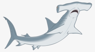 Hammerhead Shark Clipart Clip Art - Hammerhead Shark Clipart #9148982