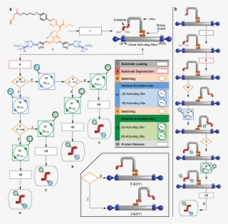 Programmable Operation Of A Molecular Machine That - Chemical Synthesis #9149684