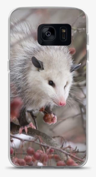Snowpossum ☆ Samsung Case - Possum #9149840