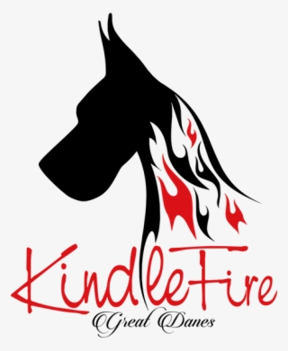 Home To Akc Conformation & Performance Great Danes - Guard Dog #9149842