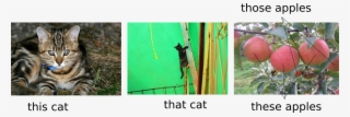 This Cat - Starapple #9149921
