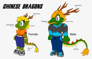 The Dragons Of Arrow - China Chinese Dragon #9150029