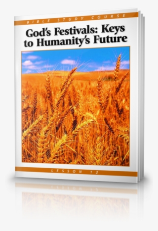 Wheat #9150123 Wheat #9150123