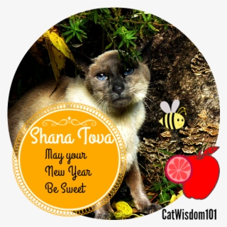 Rosh Hashanah Pet Owners - Label #9150157