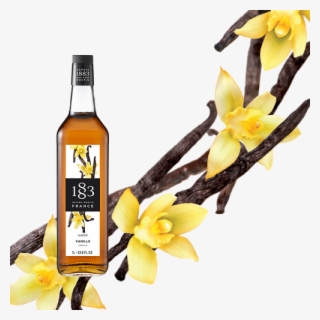Routin 1883 Vanilla Syrup - Vanilla #9150663