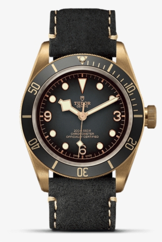 Tudor - Tudor Black Bay Beckham #9151691
