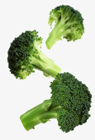 Romanesco Broccoli #9153372