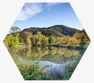 Land-pond1 - Reflection #9154732