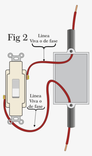 Tenemos La Conexión De Un Tomacorriente Sencillo De - Conexion De Un Interruptor #9155000