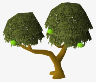 Apple Tree Osrs Wiki - Oak #9155178