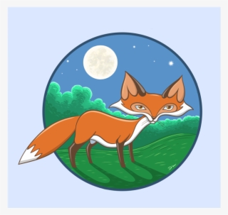 “a Fox In The Night” Vector Night Ipad Illustrator - Red Fox #9155286
