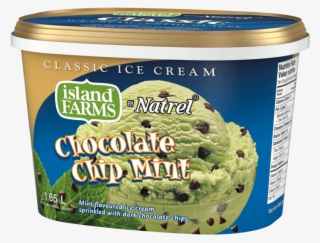 Green Mint Ice Cream With Chocolate Chips - Island Farms #9155574