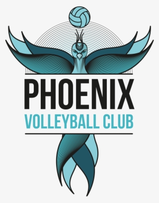 Phoenix Volleyball #9155763