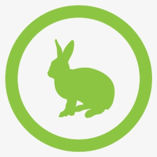 Not Use Mobile Phones #9155837