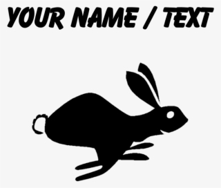 Favorite - Domestic Rabbit #9155993