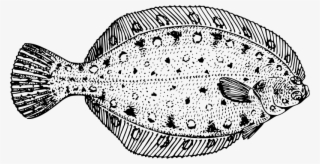 Why A Bowl Of Beans Could Be Just As Good As Fish On - Flounder Black And White #9156425