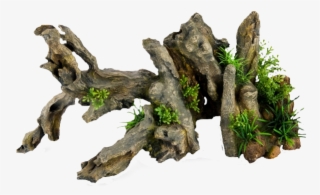 Photo Fishtankwood - Top Fin Driftwood Aquarium Ornament Aquarium #9156555 Photo Fishtankwood - Top Fin Driftwood Aquarium Ornament Aquarium #9156555