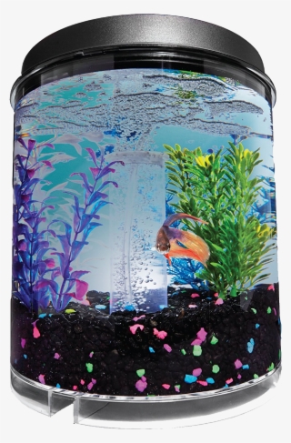 Imagitarium 2 Gallon Fish Tank - Aquarium #9156881