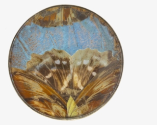 1920s Butterfly Wing Brooch - Circle #9156979