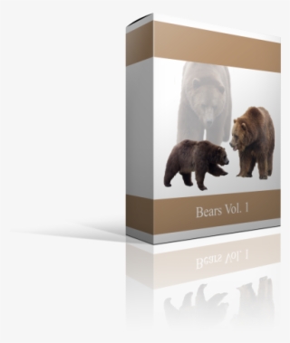 On Sale - Kodiak Bear #9157252