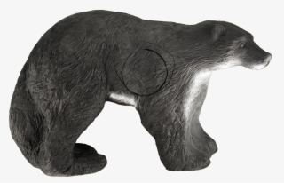 American Black Bear #9157438