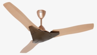 Trioka Honey-650x500 - Havells Fan New Model #9157465