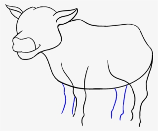 678 X 600 27 - Step By Step Cartoon Cow Drawing #9157586