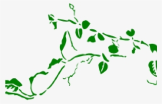 Drawn Ivy Green Vine - Lavender Flower Border Png #9157971