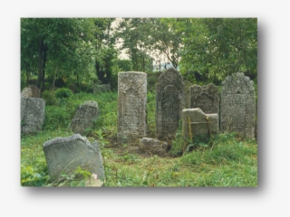 Tombstones - Old Cemetery #9158787