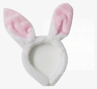 Domestic Rabbit #9159092