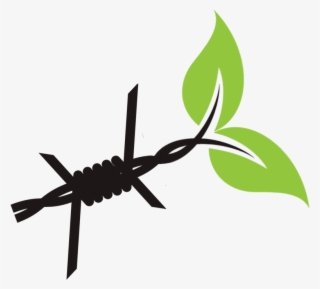 Research Teams - Insect #9159859