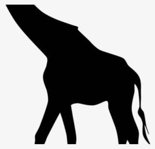 Giraffe Clipart Silhouette - Giraffe Silhouette Clip Art Png #9160473