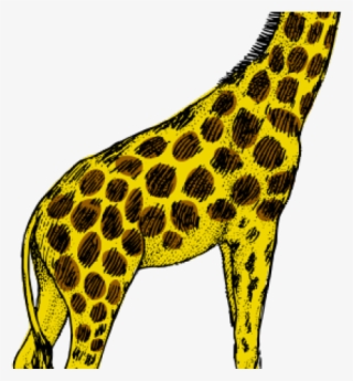 Giraffe Clipart Turquoise - Black And White Giraffe Clip Art #9160694
