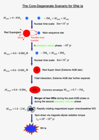 A Schematic Summary Of The Core Degenerate Scenario - Diagram #9161263
