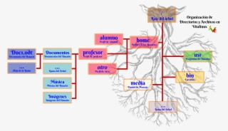 Vitalinux Organiza Los Directorios Y Archivos En Una - Estructura De Directorios Y Archivos #9162397