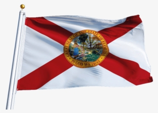 Florida Insurance Adjuster License - Flag #9165515