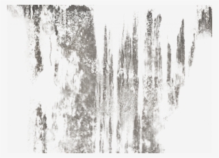 Dirty Texture Transparent - Canoe Birch #9166107