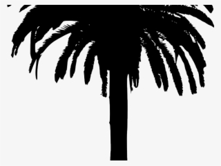 Bamboo Clipart Island Border - Png Silhouette Palm Tree #9166692