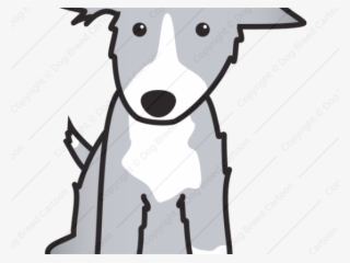 Bearded Collie Clipart Dog Nose - Border Collie #9167713