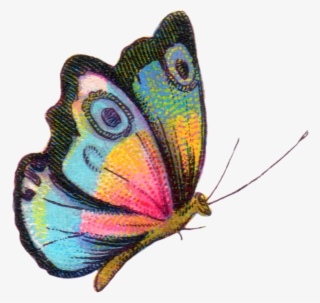 Royalty Free Image - Free Printable Colorful Butterfly Pdf #9168181