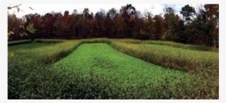 Killer - Field #9168687