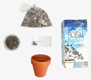 Diy Miniature Indoor Bonsai Tree Garden - Flowerpot #9169031