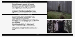 Dd3g0h5 - Tree #9169327